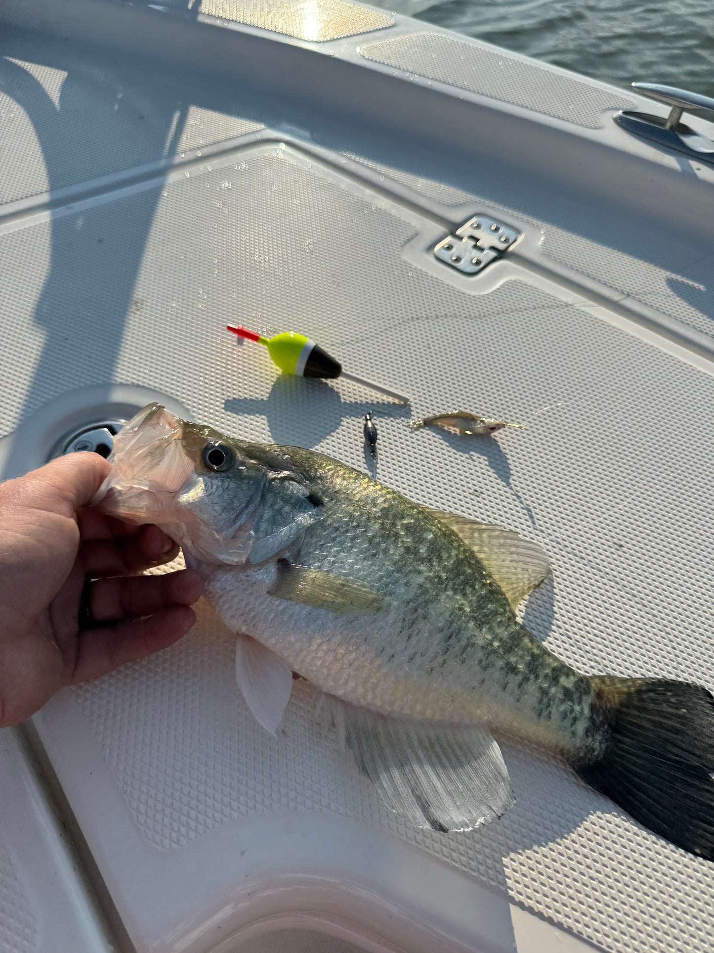 1/8 oz weighted swivel - 5 Pack