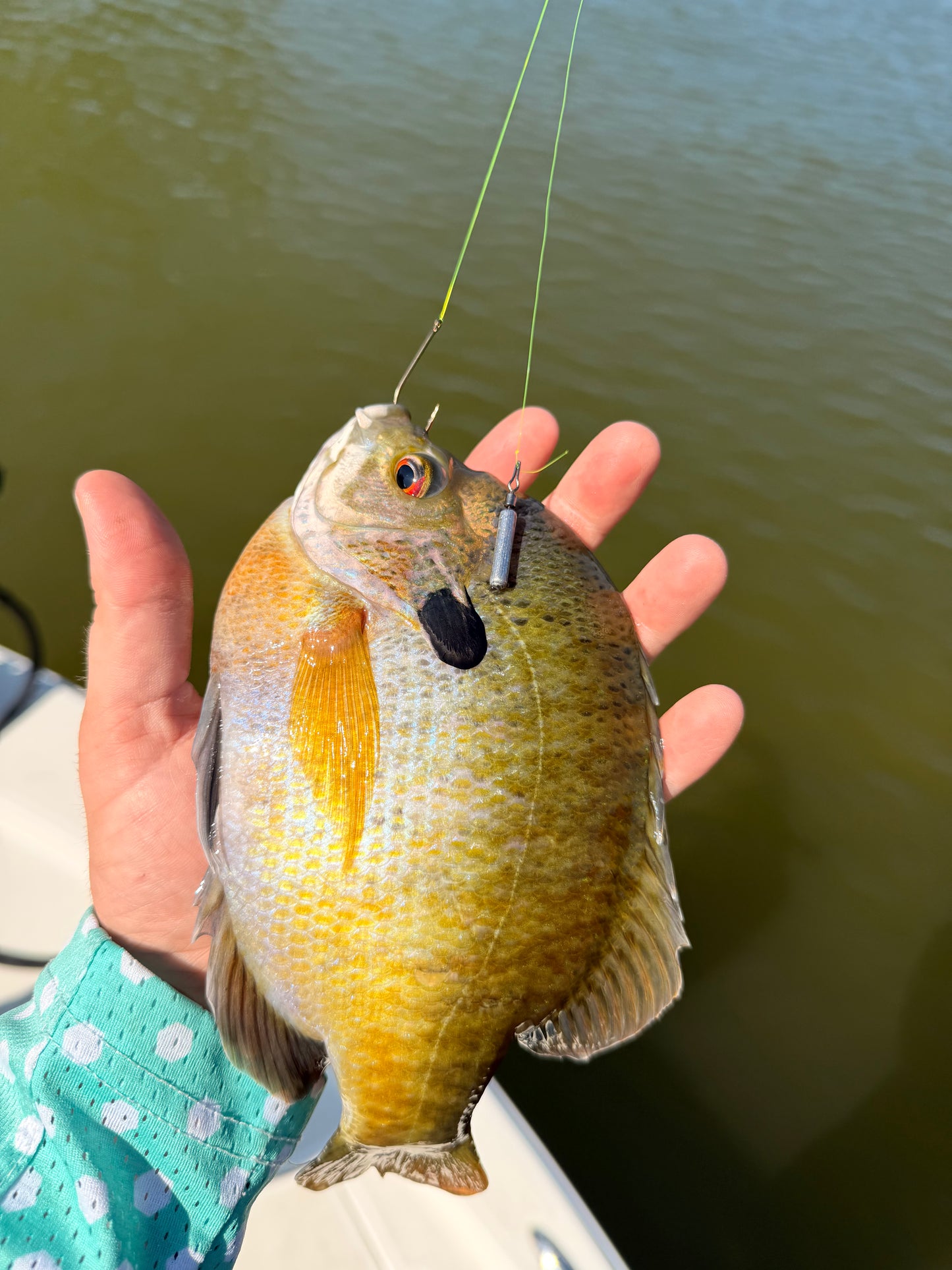 #1 Bluegill Hook