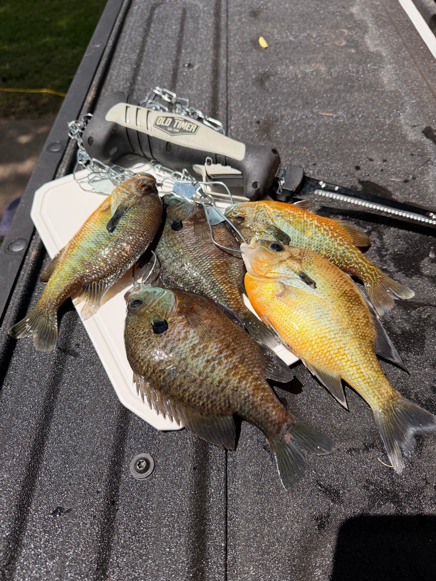 #2 Bluegill Hook